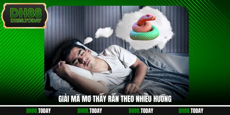 Mơ Thấy Rắn - DH88 Bật Mí Vận May Và Dự Báo Tương Lai Giải mã mơ thấy rắn theo nhiều hướng