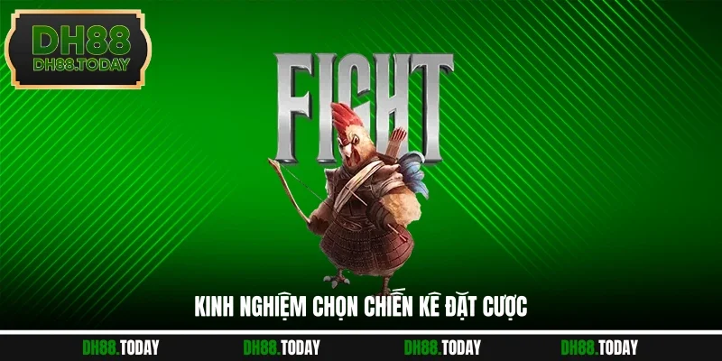 Đá Gà DH88 Kinh nghiệm chọn chiến kê hay